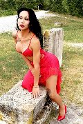 Foto Adriana Paulett Sexy Trans 3891399263 - 49