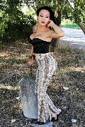 Foto Adriana Paulett Sexy Trans Paese 3891399263 - 32