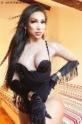 Foto Angel Bunny Sexy Trans Milano 3474642611 - 29