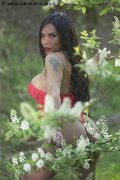 Foto Angell Sexy Trans Cinisello Balsamo 3339242519 - 4