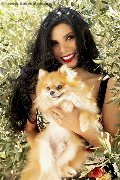Foto Ariadna Sexy Trans Palermo 3887519396 - 62