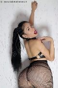 Foto Carolina Ruvaz Sexy Trans Milano 3279474162 - 1