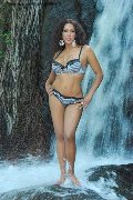 Foto Diana Sexy Sexy Trans Francoforte 00491787191374 - 12