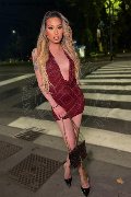 Foto Duda Castro Sexy Trans Milano 3293898373 - 49