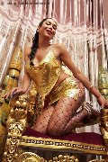 Foto Erotika Flavy Star Sexy Trans Bergamo 3387927954 - 288