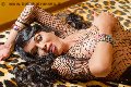 Foto Erotika Flavy Star Sexy Trans Bergamo 3387927954 - 230