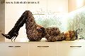 Foto Fernanda Ambrosio Sexy Trans Milano 3277803350 - 17