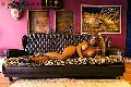 Foto Jessica Aryani Sexy Trans Brescia 3932507943 - 23