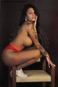Foto Krissttal Ruizz Sexy Trans Bologna 3509582055 - 39