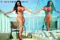Foto Letizia Sallis Pornostar Sexy Trans Borghetto Santo Spirito 3883037099 - 228