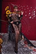 Foto Lisa Valle Sexy Trans Savona 3341087500 - 15
