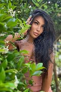Foto Mandy Asiatica Sexy Trans Firenze 3270531479 - 5