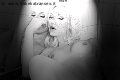 Foto Mary Ts Sexy Trans Francoforte 00491751281117 - 7