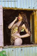 Foto Morena Boathy Sexy Trav Bologna 3479893686 - 17