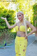 Foto Nina La Divina Sexy Trans Ibiza 0034617911341 - 18