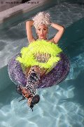 Foto Nina La Divina Sexy Trans Ibiza 0034617911341 - 85