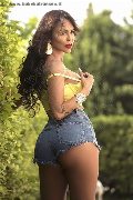 Foto Pamy Sexy Trans Genova 3891473351 - 70