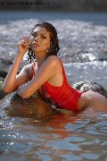 Foto Paula Bituschini Sexy Trans Genova 3898857998 - 111