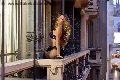 Foto Rayca Sexy Trans Berna 3485638746 - 256