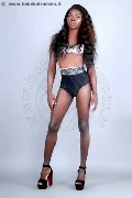 Foto Safira Snt'z  Sexy Trans Alba Adriatica 3278243596 - 46