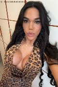 Conegliano Transex Abbey 320 31 62 142 foto selfie 3