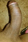 D�sseldorf Transex Adhara  004915212409124 foto selfie 93