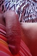 Isernia Transex Alessandra Dior 371 52 12 112 foto selfie 88