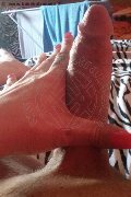 Isernia Transex Alessandra Dior 371 52 12 112 foto selfie 95