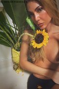 Ginevra Transex Allien Ashtar  0041779468942 foto selfie 6
