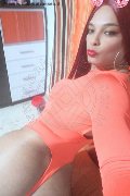 Malaga Transex Ariadna  0034602633849 foto selfie 13