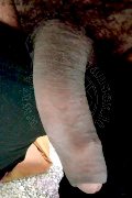 Ragusa Transex Brenda 353 20 73 699 foto selfie 1