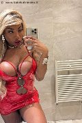 Padova Transex Campbell 393 33 57 541 foto selfie 13