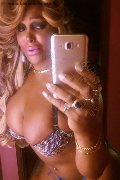 Pavia Transex Channel 338 40 97 317 foto selfie 17