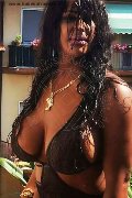 Pavia Transex Channel 338 40 97 317 foto selfie 25