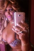 Pavia Transex Channel 338 40 97 317 foto selfie 31