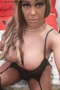 Pavia Transex Channel 338 40 97 317 foto selfie 13