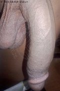 Bologna Transex Crystal 353 31 40 303 foto selfie 21