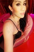 Lecco Transex Flavia Araujo 389 28 81 250 foto selfie 33