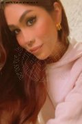 Monza Transex Flavia Araujo 389 28 81 250 foto selfie 1