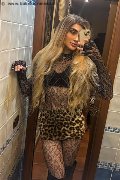 Salerno Transex Ita Cabral Xxl 380 78 81 204 foto selfie 1