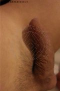 Legnano Transex Laviny Albuquerque Pornostar 389 00 19 370 foto selfie 176