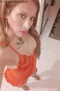 Legnano Transex Leyla 338 33 98 084 foto selfie 17
