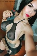 Amsterdam Transex Lissandra  0031645710434 foto selfie 14