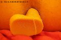  Transex Lola Orsini Adorno 339 57 05 821 foto selfie 48