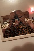 Milano Transex Natalia Rodrigues Pornostar 392 11 96 784 foto selfie 38