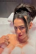 Milano Transex Natalia Rodrigues Pornostar 392 11 96 784 foto selfie 3