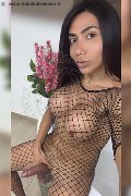Roma Transex Natyelle Ninfeta 389 11 78 249 foto selfie 55