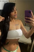 Somma Lombardo Transex Nicolly Hilton 392 33 27 327 foto selfie 51