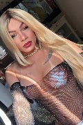 Bruxelles Transex Nicoly 329 33 58 987 foto selfie 16