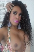 Mestre Transex Paolina Mulatta 333 29 10 933 foto selfie 25